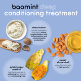 baomint™ deep conditioning treatment